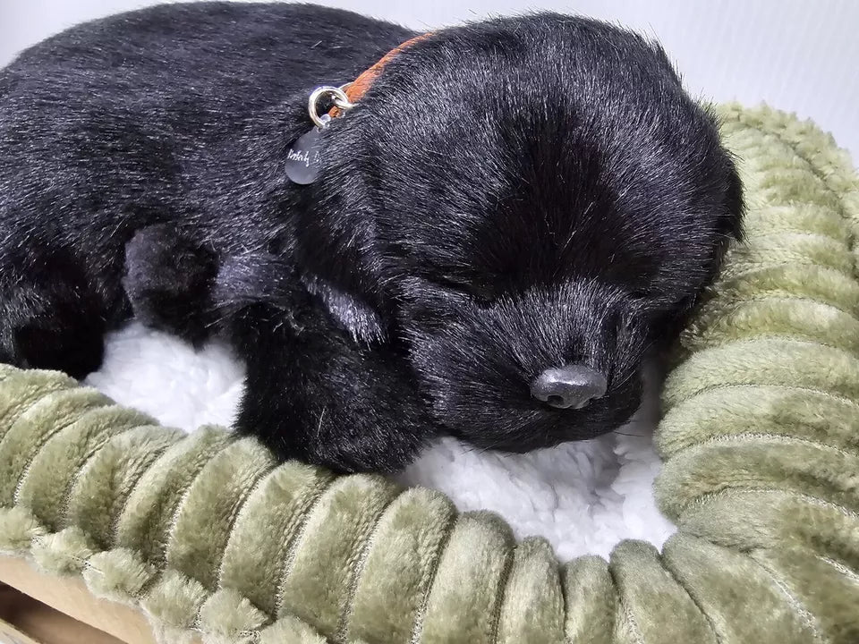 Perfect Petzzz Black Lab Dog